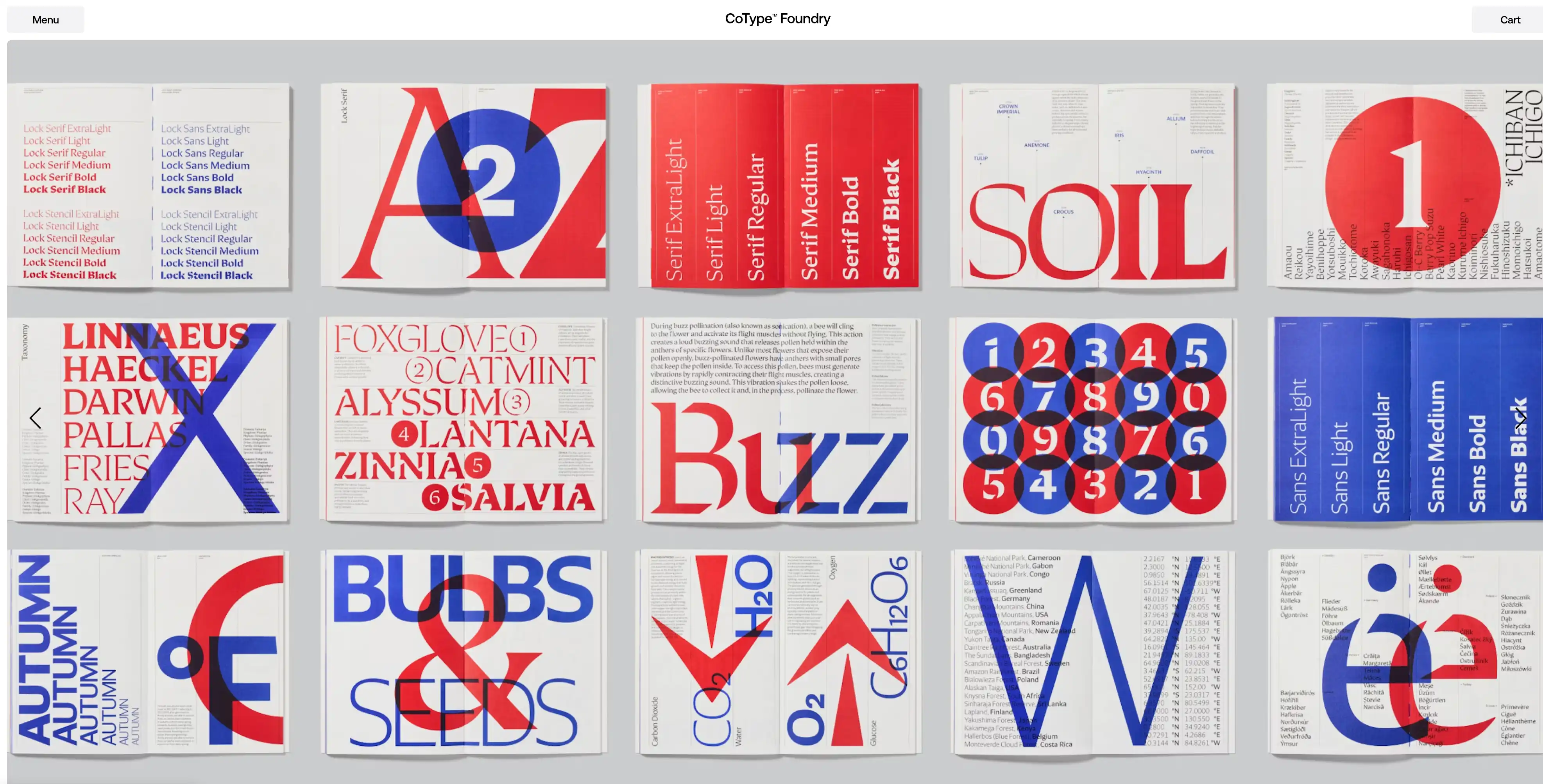 small collection of co type foundy fonts